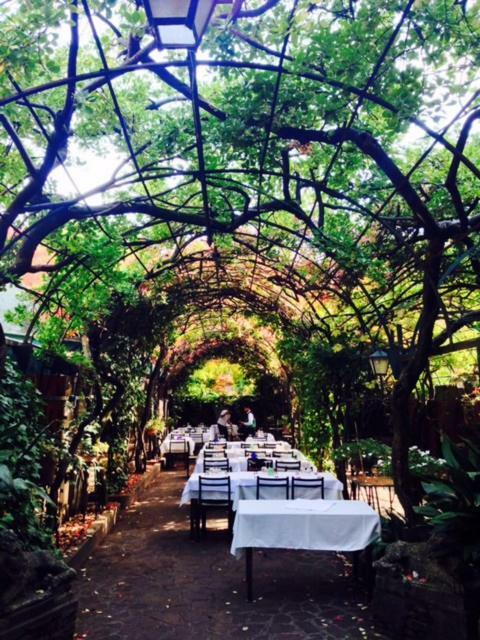 Antica Locanda Montin Venice Luaran gambar